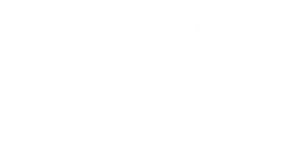 Logo_yapa_final_blanco